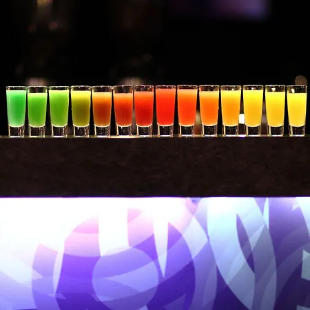 酒店 银河酒店 克拉科夫